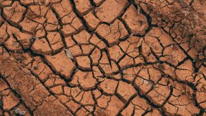 Why Site Conditions Matter More Than You Think